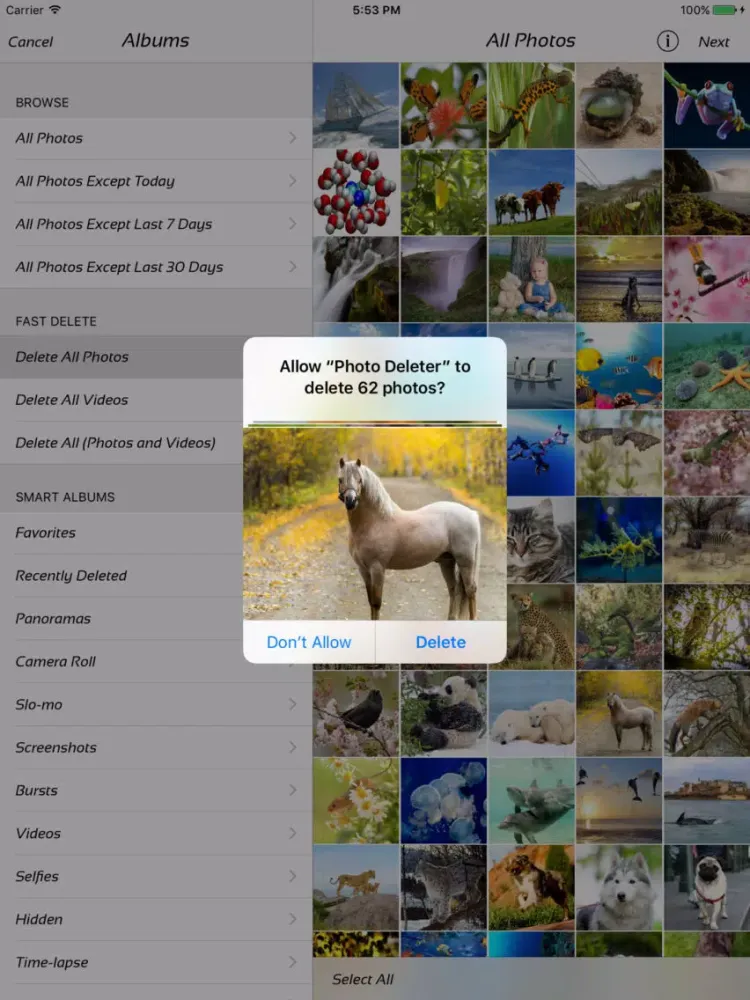 ภาพหน้าจอของ Photo Manager - fast deleter iPad 