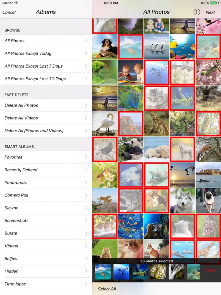 ภาพหน้าจอของ Photo Manager - fast deleter iPad 