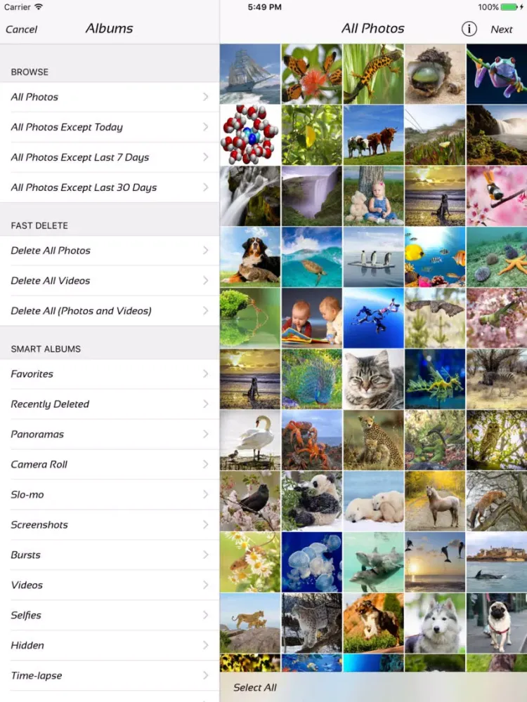 ภาพหน้าจอของ Photo Manager - fast deleter iPad 