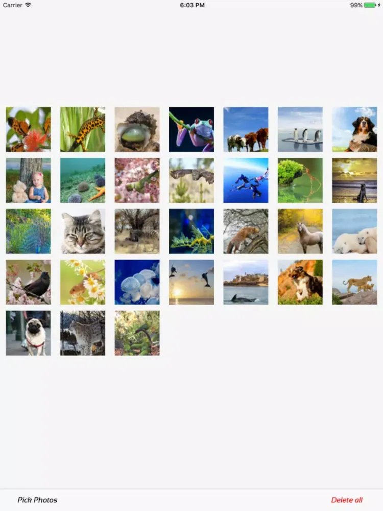 ภาพหน้าจอของ Photo Manager - fast deleter iPad 