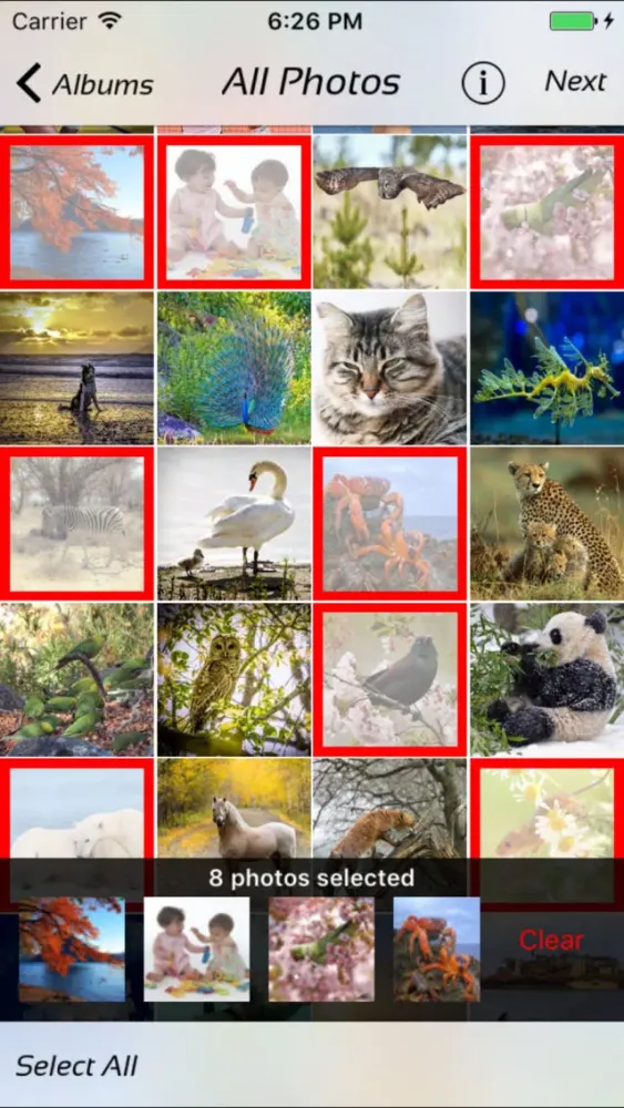 ภาพหน้าจอของ Photo Manager - fast deleter