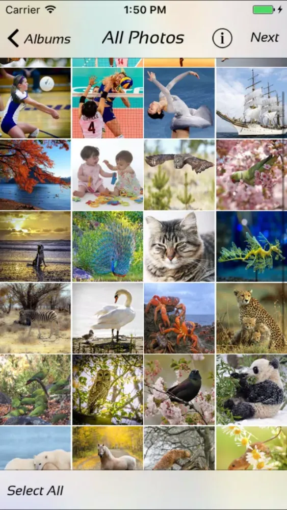 ภาพหน้าจอของ Photo Manager - fast deleter
