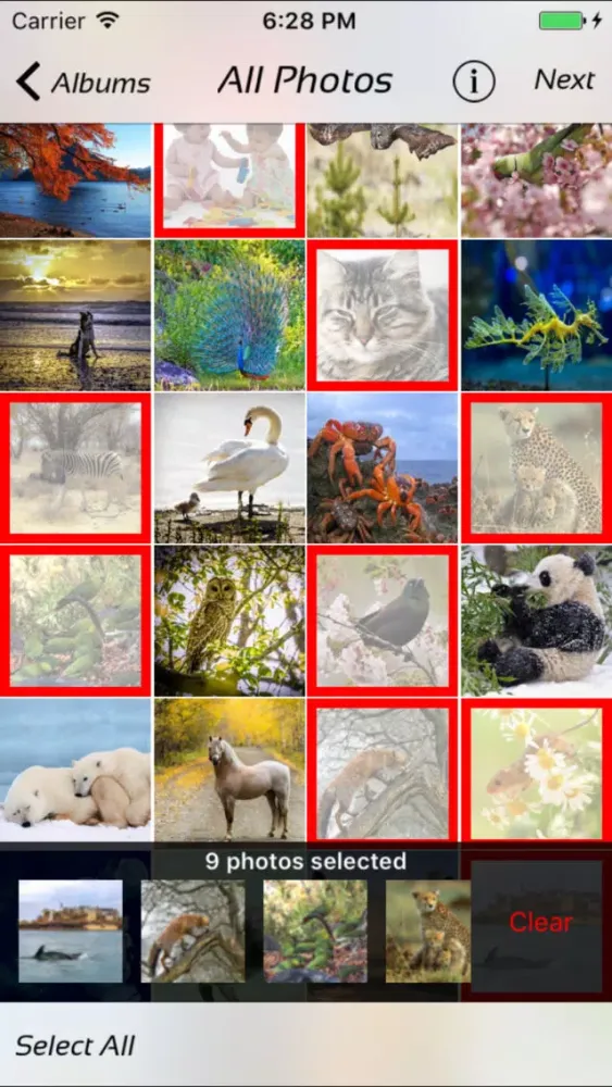 ภาพหน้าจอของ Photo Manager - fast deleter
