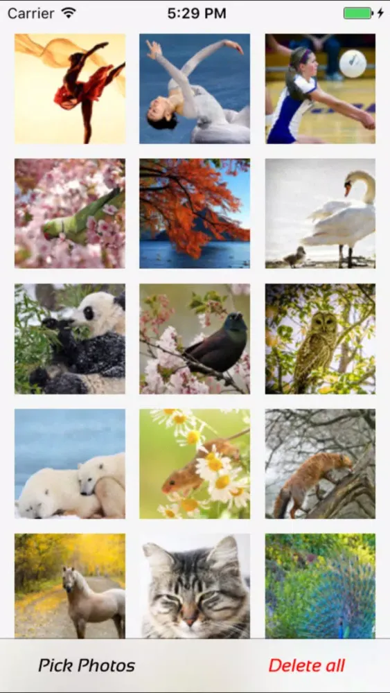 ภาพหน้าจอของ Photo Manager - fast deleter