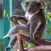 Aussie Meme Stickers