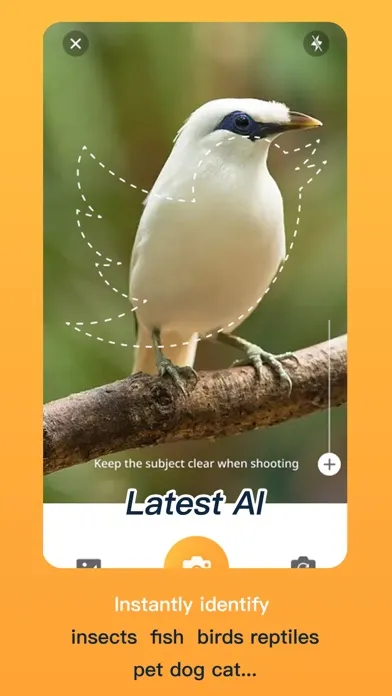 AnimalsSnap-Animal Identifier Screenshots