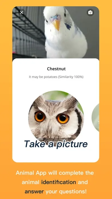 AnimalsSnap-Animal Identifier Screenshots