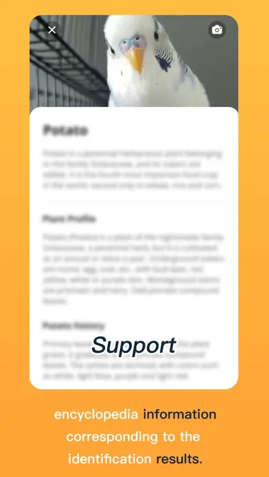 AnimalsSnap-Animal Identifier Screenshots