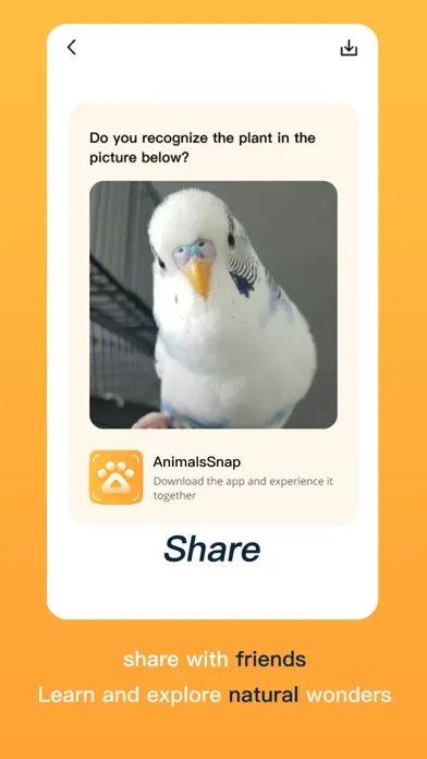 AnimalsSnap-Animal Identifier Screenshots