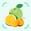 FruitVegetableSnap -Identifier