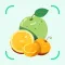 FruitVegetableSnap -Identifier