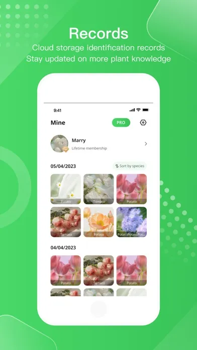 Tangkapan skrin PlantSnap plant identification