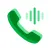 Hangout Voice
