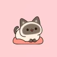 Cat Sneaky Pounce Meow Cat Sneaky Pounce Meow