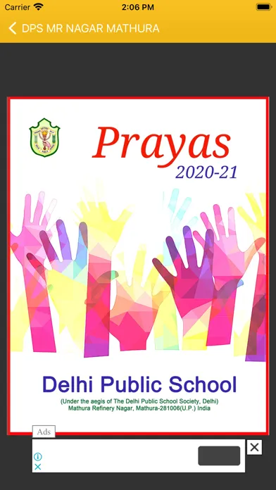 Ảnh chụp màn hình của DPS MR NAGAR MATHURA
