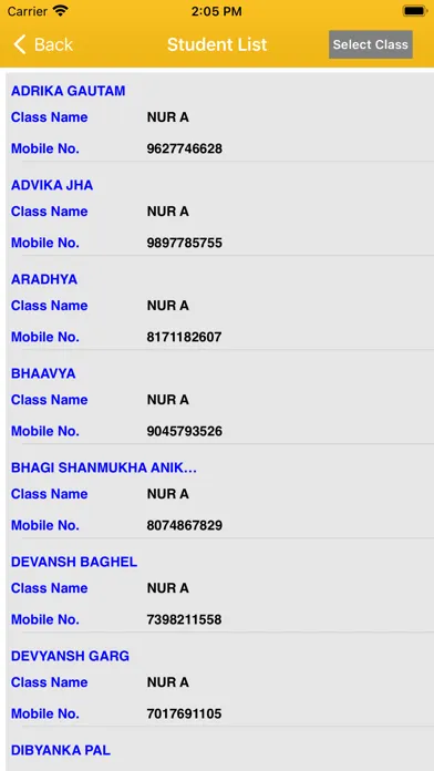 Ảnh chụp màn hình của DPS MR NAGAR MATHURA