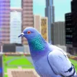 Pigeon Bird Simulator Pigeon Bird Simulator