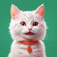 My virtual pet Cat Games