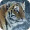 Wild hunter 2016 : Ice Age