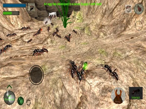 Ant Simulation 3D iPad  Screenshots