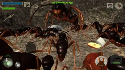 Ant Simulation 3D Screenshots