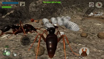 Ant Simulation 3D Screenshots