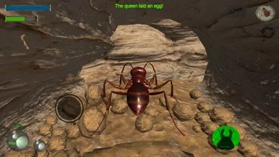 Ant Simulation 3D Screenshots