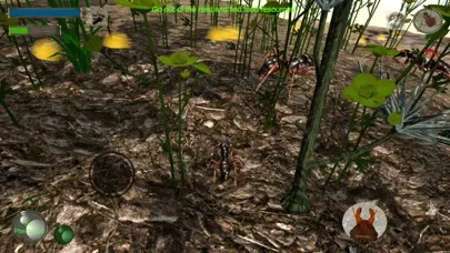 Ant Simulation 3D Screenshots