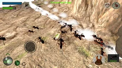 Ant Simulation 3D Screenshots
