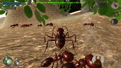 Ant Simulation 3D Screenshots
