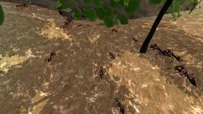 Tangkapan layar Ant Simulation Full