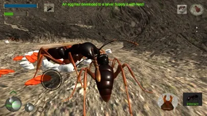 Tangkapan layar Ant Simulation Full