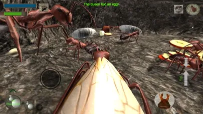 Tangkapan layar Ant Simulation Full