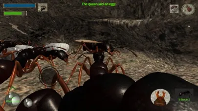 Tangkapan layar Ant Simulation Full
