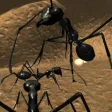 Ant Simulation 3D Full Ant Simulation 3D Full
