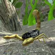 Scorpion Insect Simulator