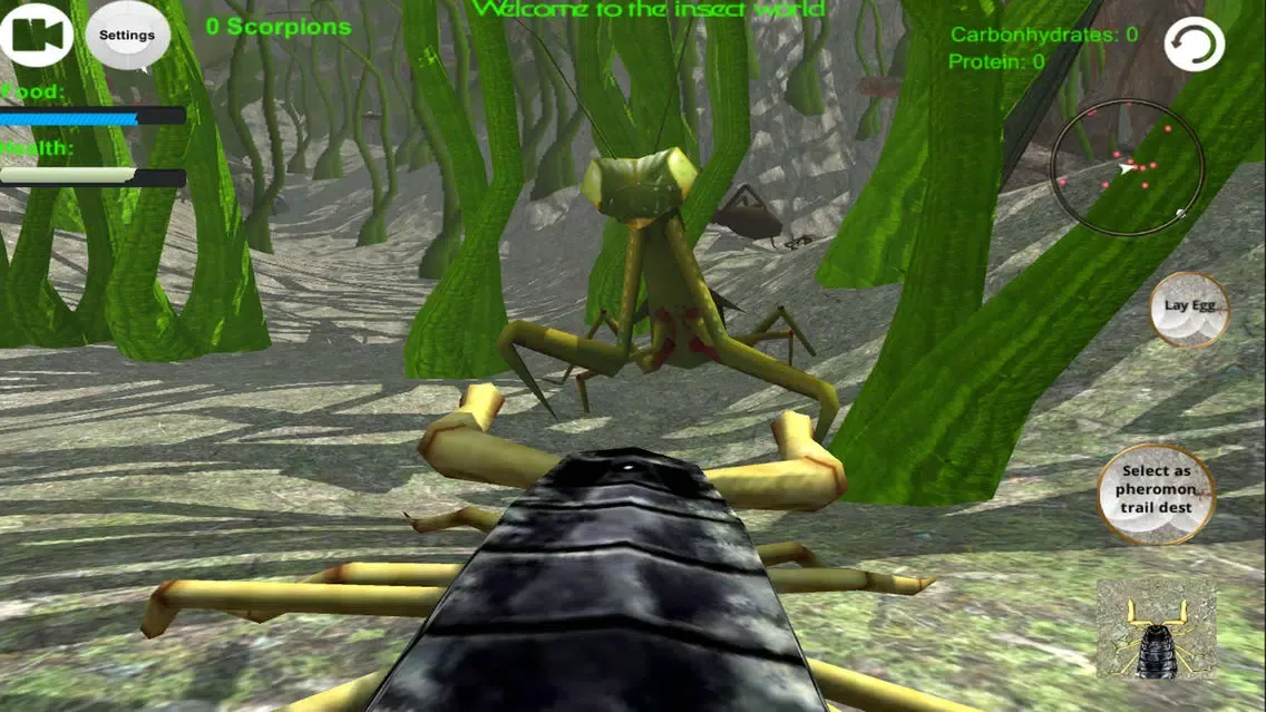 Scorpion Insect Simulator Screenshots