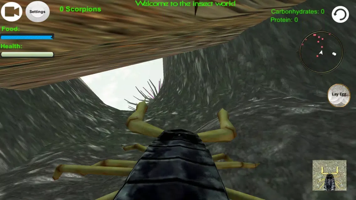 Scorpion Insect Simulator Screenshots
