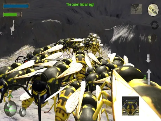 Tangkapan layar Wasp Nest Simulation Full iPad 