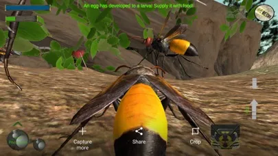 Tangkapan layar Wasp Nest Simulation Full