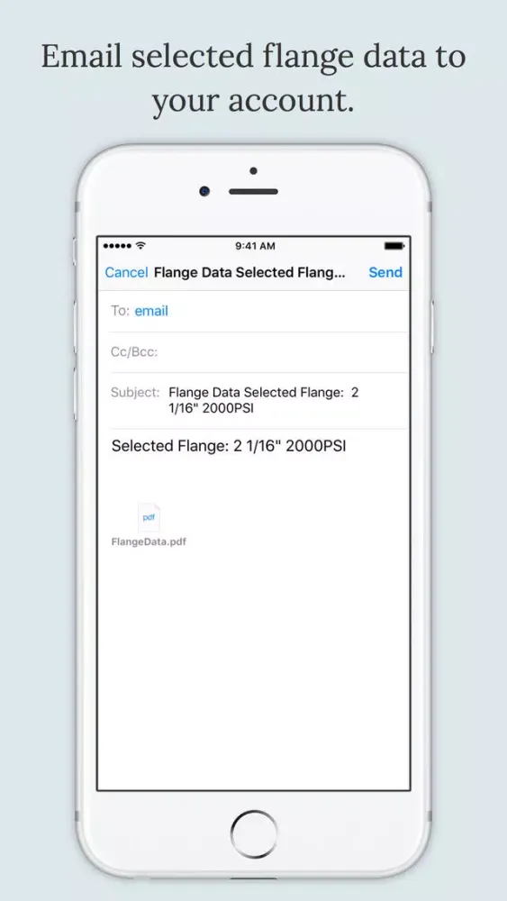 Captures d'écran de Flange Data