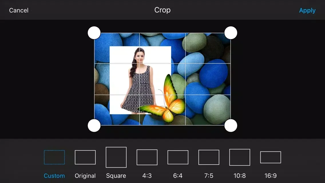 Butterfly Photo Frames & Photo Editor Ekran Görüntüleri