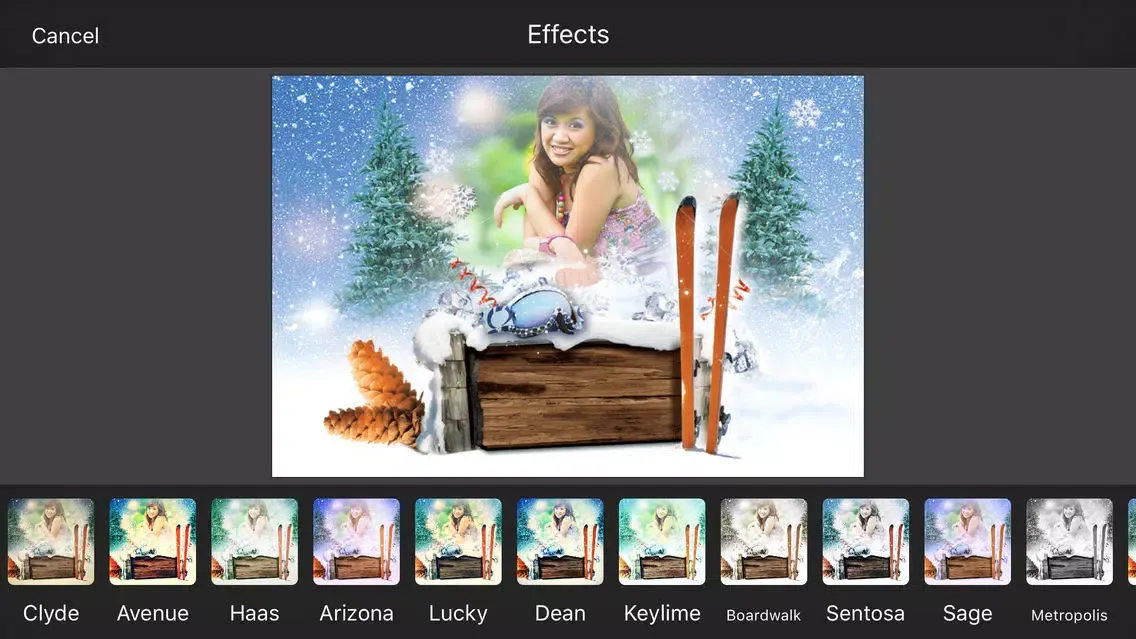 Winter Photo Frames & Photo Editor স্ক্রিনশট