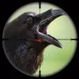 Forest Crow Hunter-Bird Shooting Simulator Forest Crow Hunter-Bird Shooting Simulator