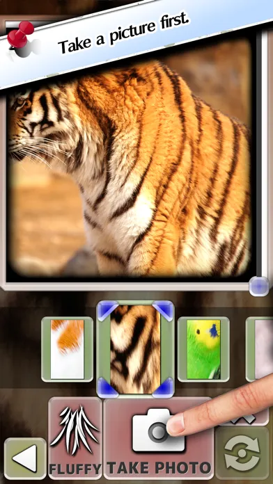 Screenshot di Fluffy Camera