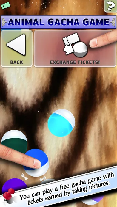 Screenshot di Fluffy Camera
