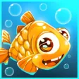 Fish Feeding : Hungry Fish