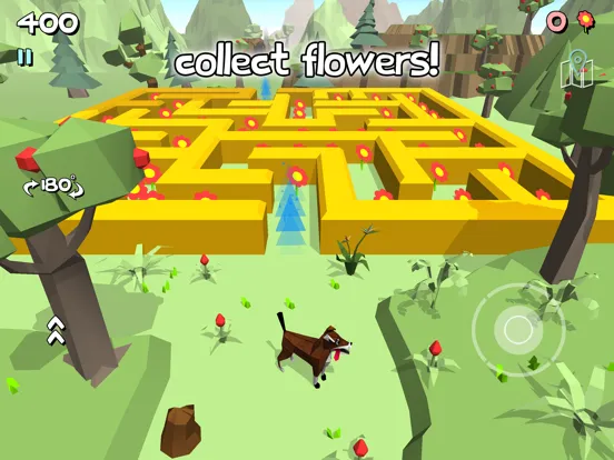 3D Maze 3 - Labyrinth Game iPad  স্ক্রিনশট
