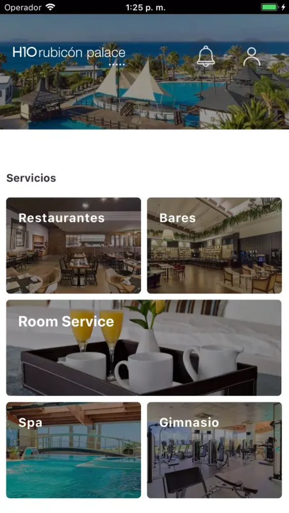 تصاویر H10 Rubicón Palace