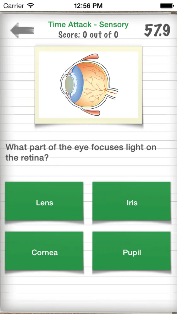 Easy Revision Leaving Cert Biology应用截图